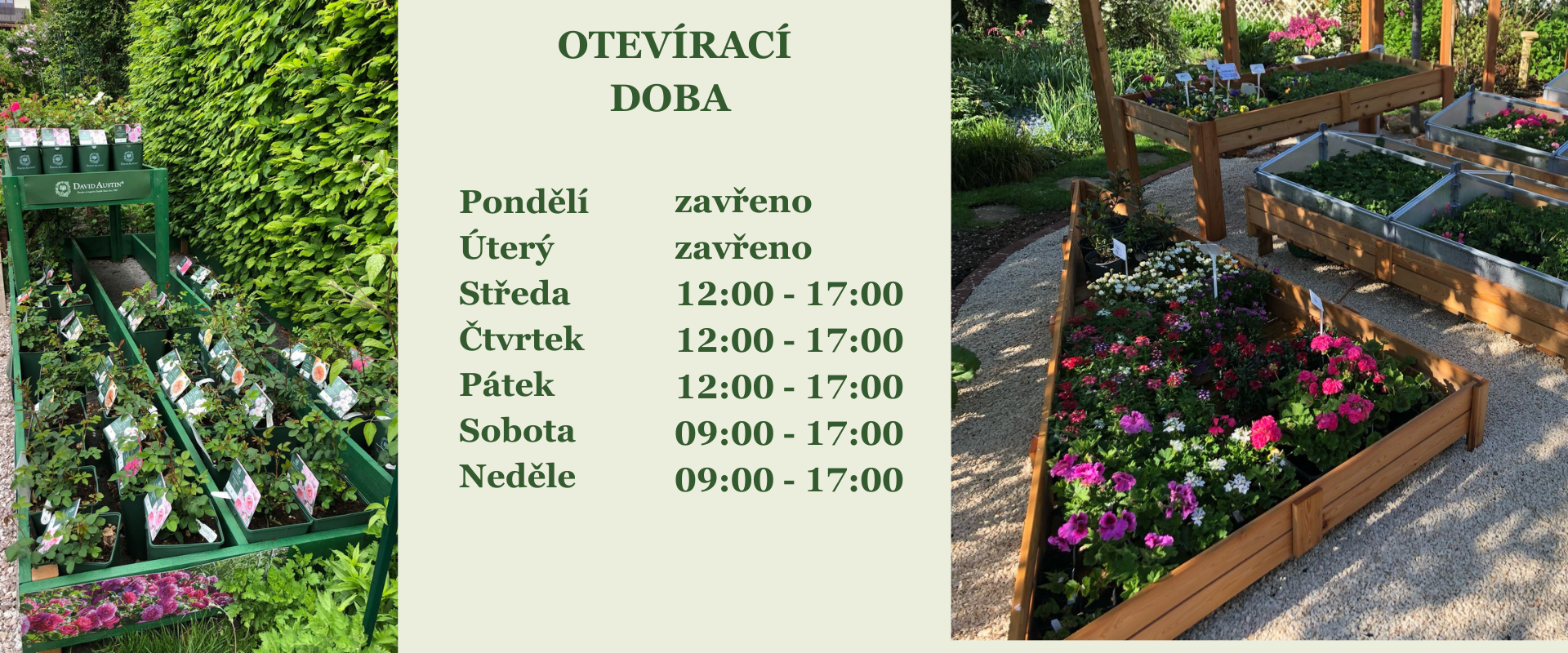 Zahradnictví Tulipania