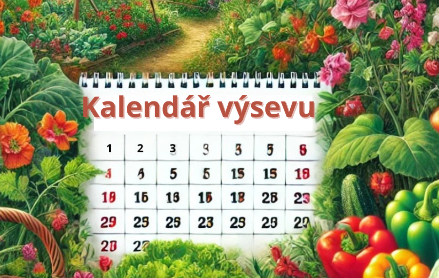 Kalendář výsevu na celý rok