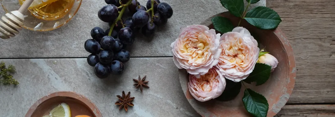 Voňavé růže: Anglické královny, které provoní vaši zahradu