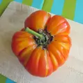 Bio rajče Pineapple (Ananasové)