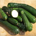 Bio cuketa BLACK BEAUTY