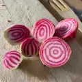 Bio červená řepa Tonda di Chioggia