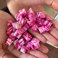 Bio červená řepa Tonda di Chioggia