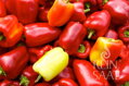 Bio paprika Albaregia