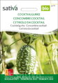 Bio mexická okurka ZEHNERIA SCABRA