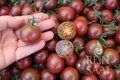 Bio rajče Black Cherry