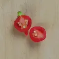 Bio chilli paprika Biquinho