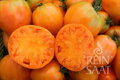 Bio rajče Cuor di bue orange