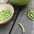Bio hrách cukrový Frühe Heinrich