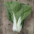 Bio čínské zelí bok choy Tai Sai