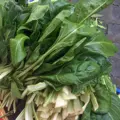Bio čínské zelí bok choy Tai Sai
