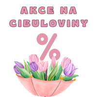 AKCE NA CIBULOVINY