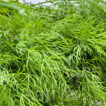 Bio kopr Tetra
