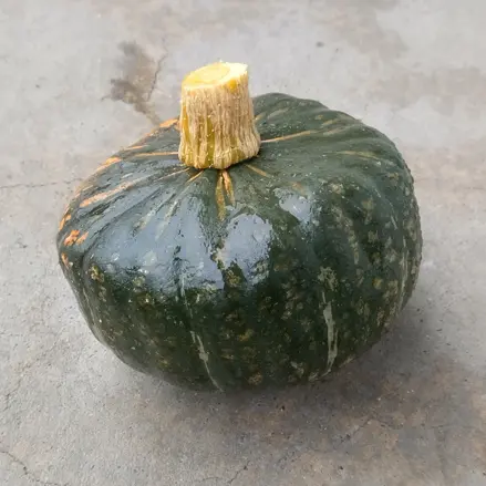 Bio dýně Buttercup