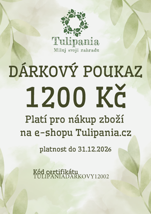 DÁRKOVÝ POUKAZ 1200 Kč