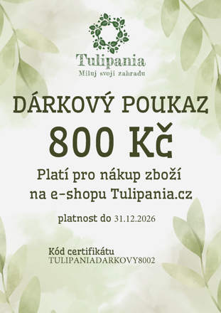 DÁRKOVÝ POUKAZ 800 Kč