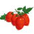 Kečupová rajčata - semínka | Tulipania.cz