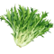 SALÁT K ŘEZU