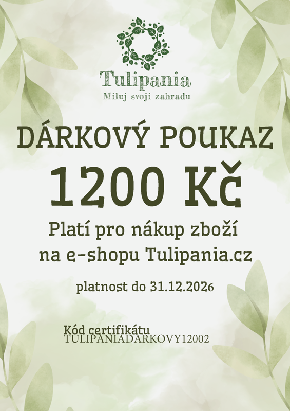 DÁRKOVÝ POUKAZ 1200 Kč