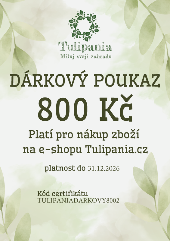 DÁRKOVÝ POUKAZ 800 Kč